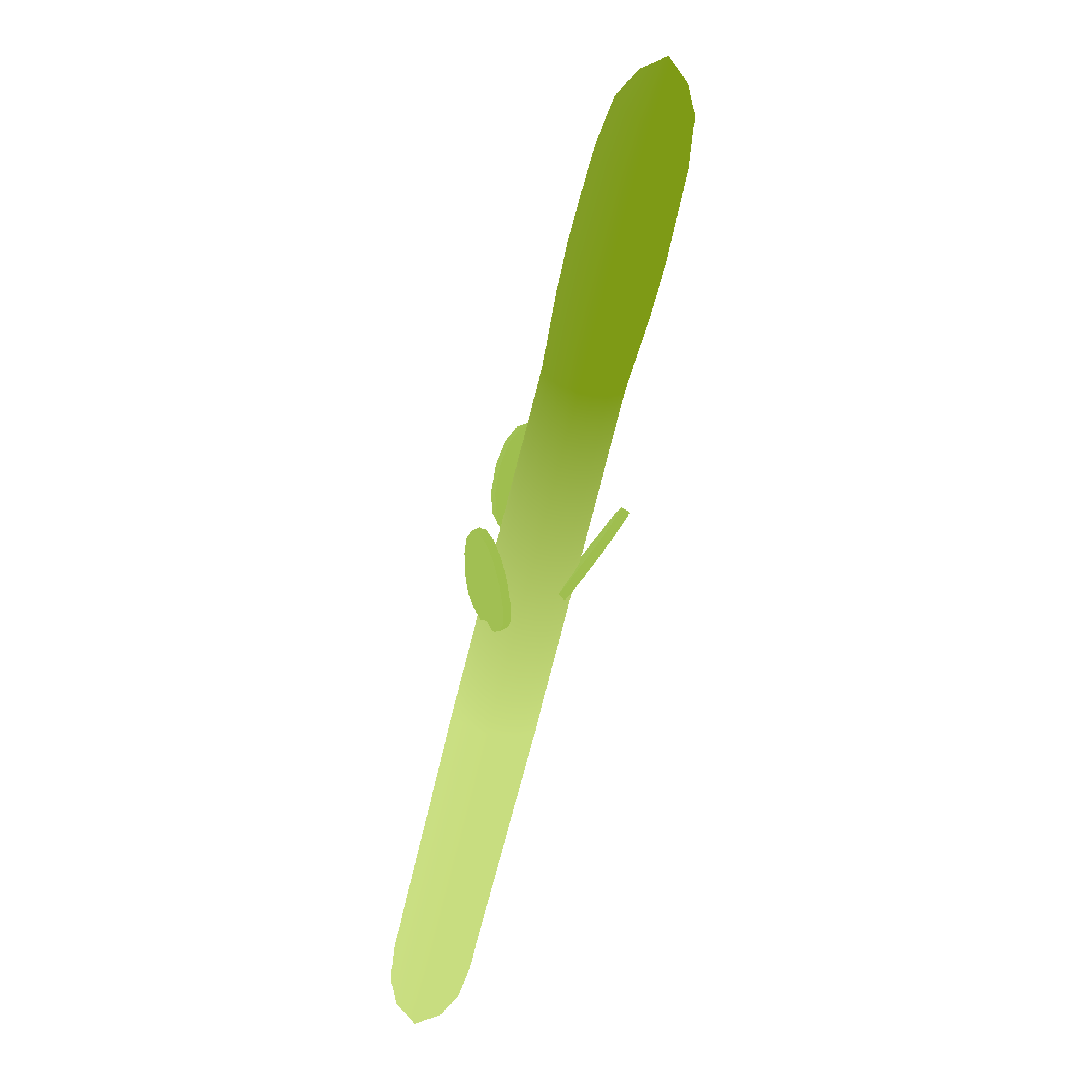 Illustration of asparagus from Noun Town