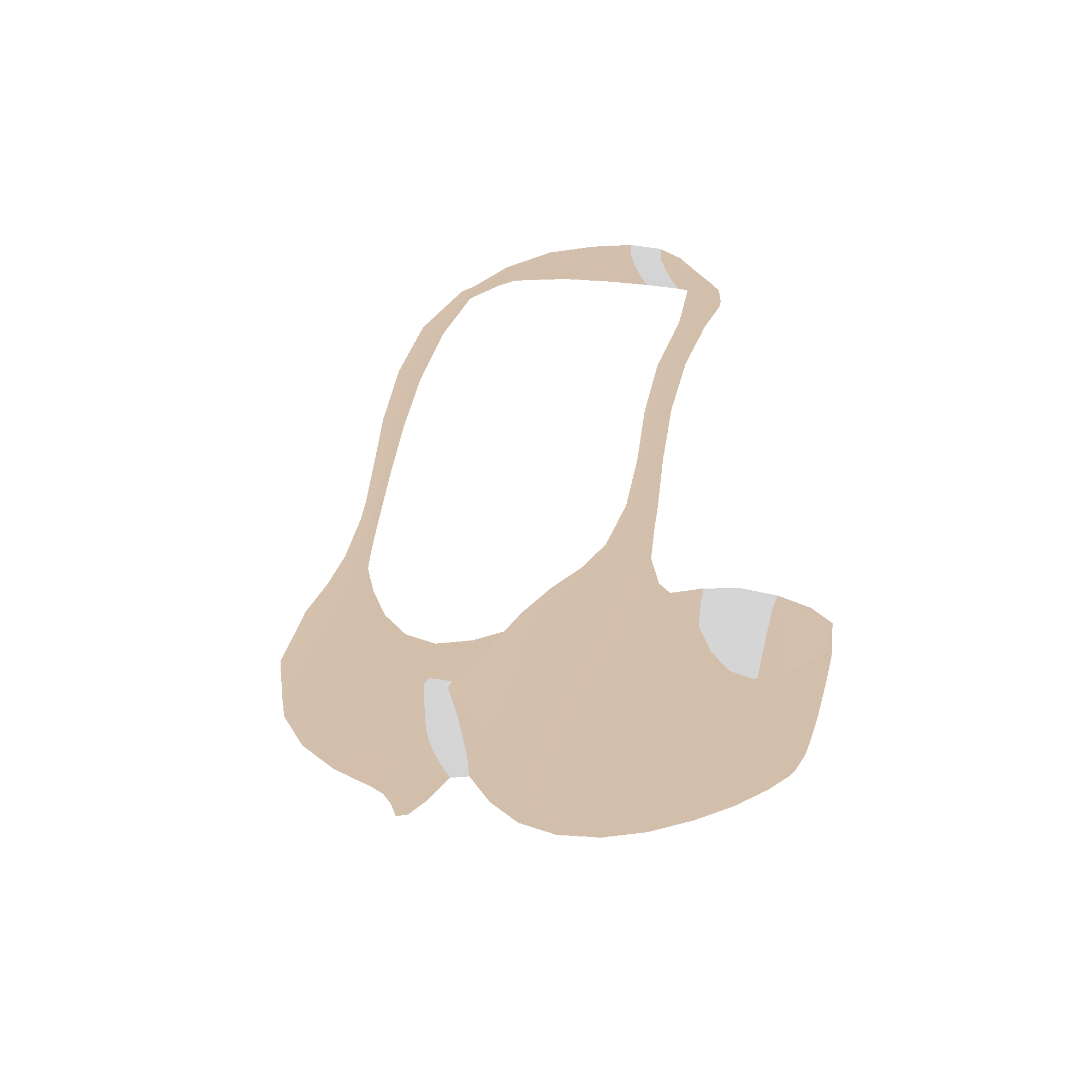 Illustration of bra from Noun Town