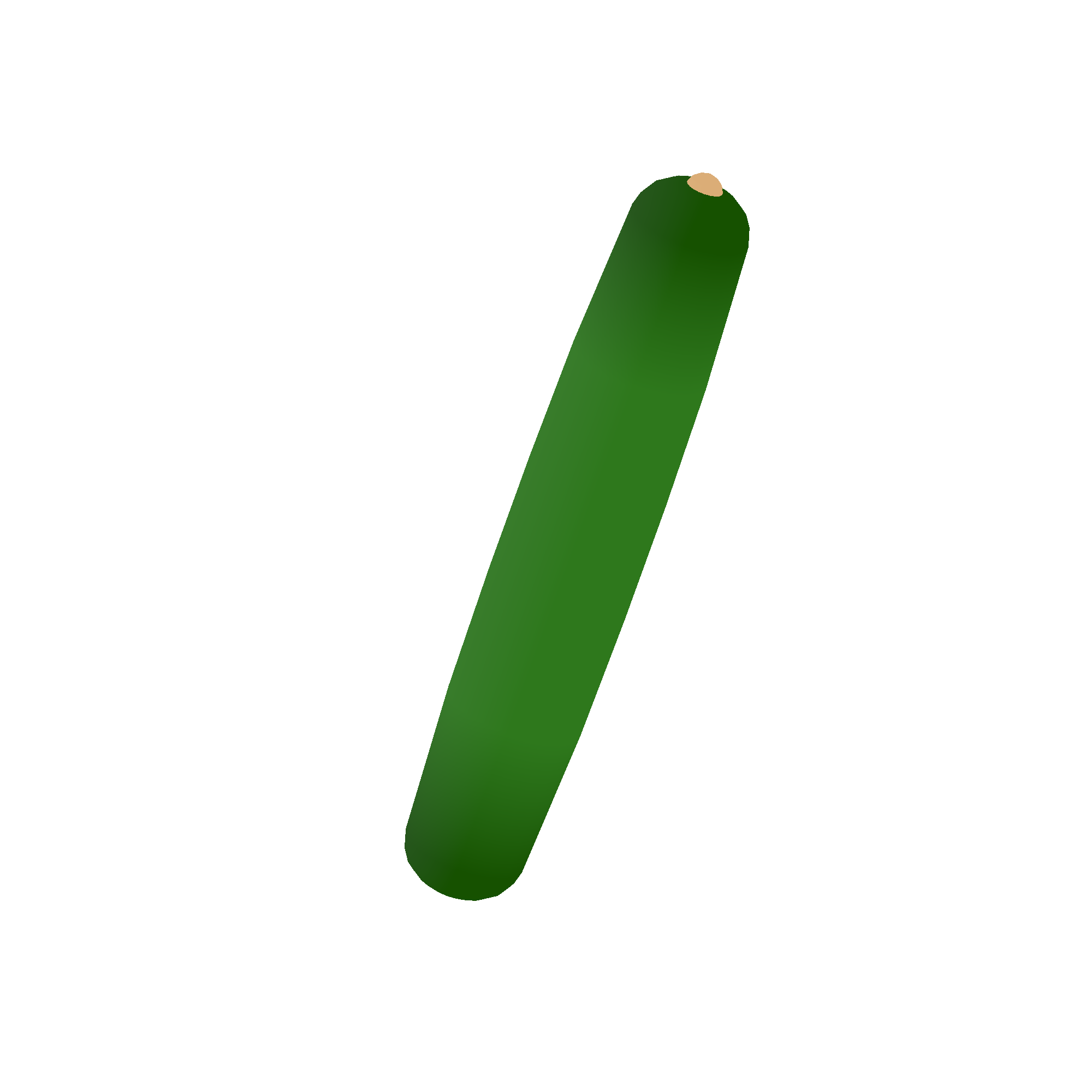 Illustration of cucumber from Noun Town